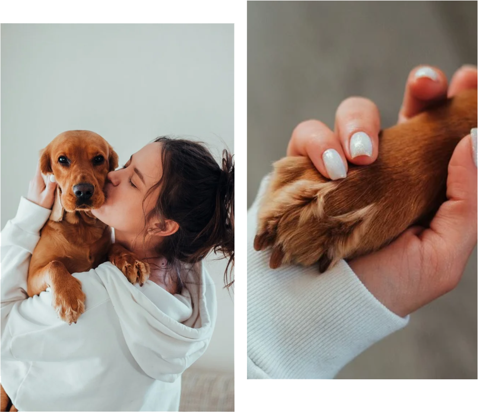Happy pet contact collage