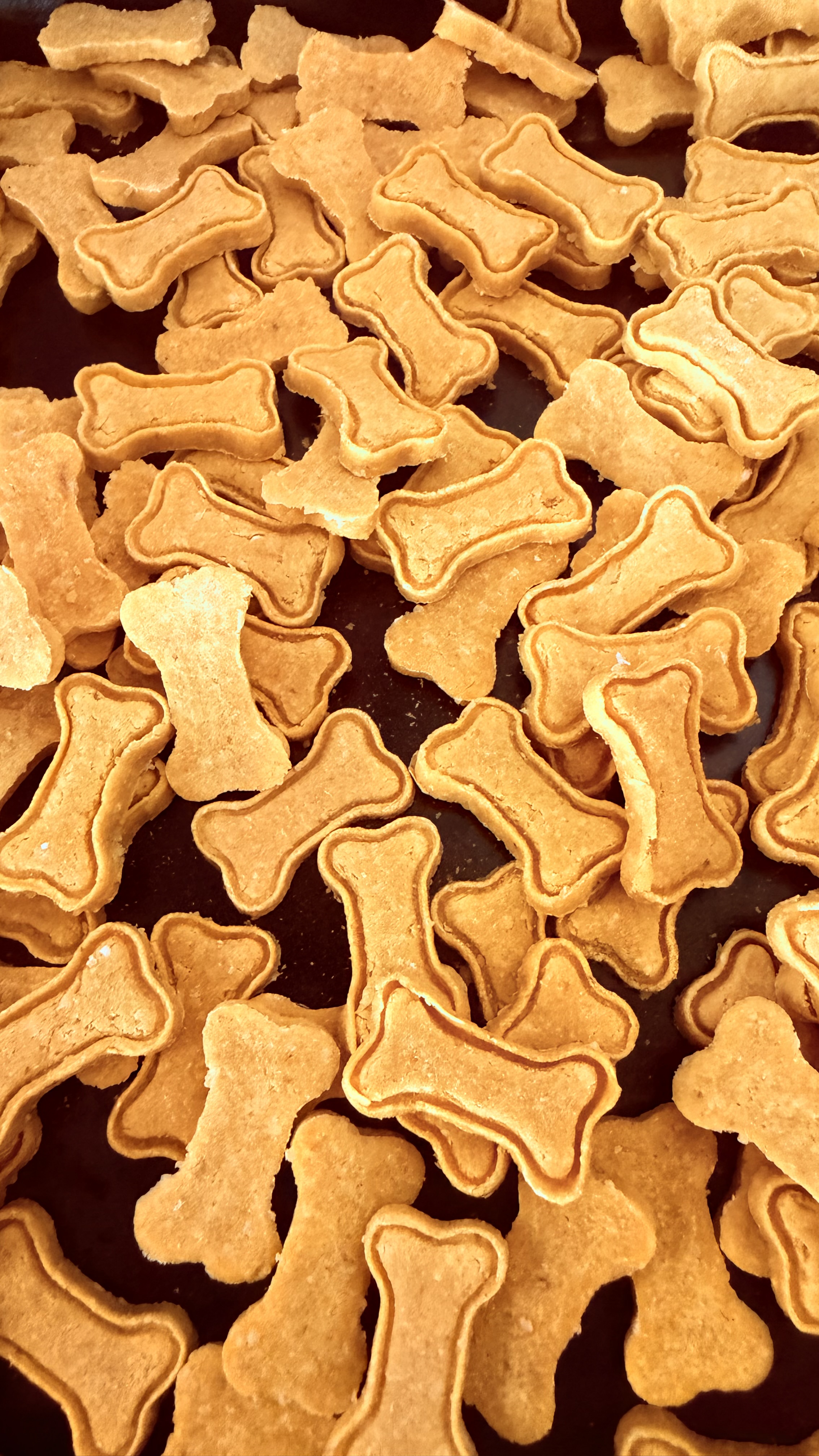 Golden Chicken Bites